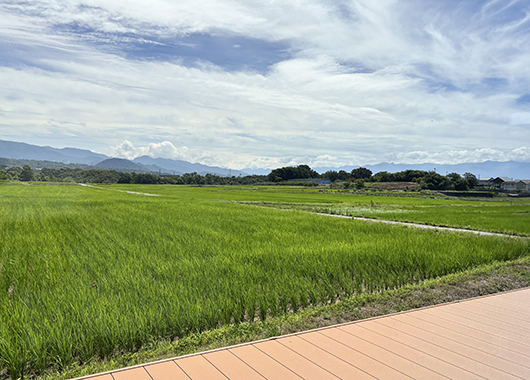 地場工務店の施工事例。ウッドデッキから望む水田の風景