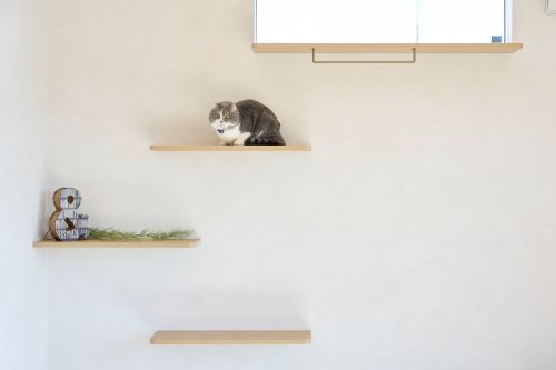 猫と暮らす家